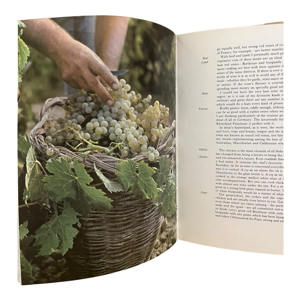 Wine by Hugh Johnson A Wine Guide Hardcover Book 1973 Printed in Great Britain - Picture 5 of 9